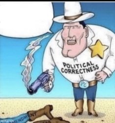 political correctness shooting a guy Meme Template