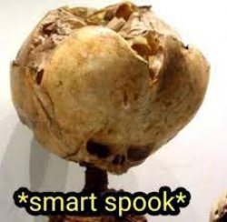 Smart spook Meme Template