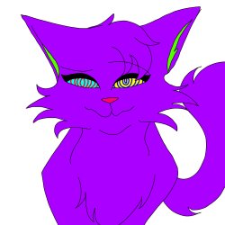 Purple cat mf Meme Template