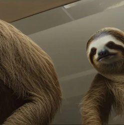 sloth opening a bank Meme Template