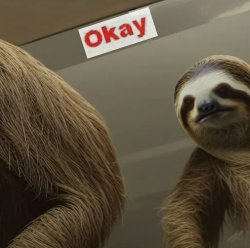 sloth looking in mirror okay Meme Template