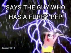 Says the guy who has a furry pfp Meme Template