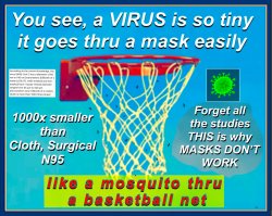 Masks, Nets & Mosquitos Meme Template