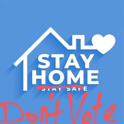 Stay home, don't vote Meme Template
