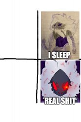 I sleep, to REAL SHIT Meme Template