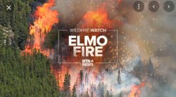 "elmo still loves fire" Meme Template