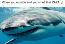 When you outside and smell that ZAZA Meme Template