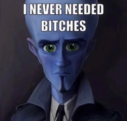 Megamind I never needed bitches Meme Template