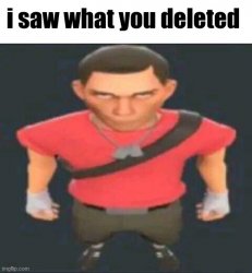 i saw what you deleted scout Meme Template