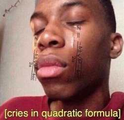 cries in quadratic formula Meme Template