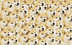 Wave of Doges Meme Template