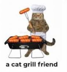 Cat grill friend Meme Template