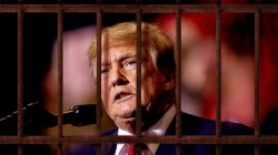 trump where he belongs Meme Template