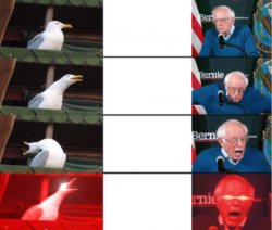 Bernie and bird Meme Template