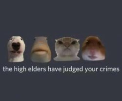 The High Elders Have Judged Your Crimes Meme Template