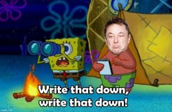 Elon Musk write that down Meme Template