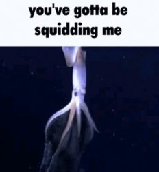 you've gotta be squidding me Meme Template