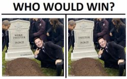 Who would win Elon Musk kills Twitter Meme Template