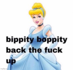 bippity boppity back the fuck up Meme Template