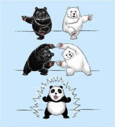 Panda Clash Meme Template