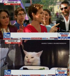 Angry Kari Lake Yells At Reporter Cat Meme Template