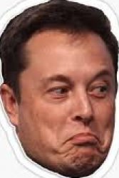 Elon face Meme Template