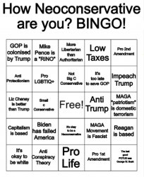 How Neoconservative are you? BINGO! Meme Template