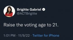 Brigitte Gabriel crying tweet Meme Template