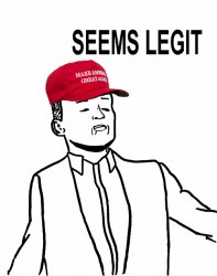 MAGA seems legit Meme Template