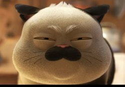 Sus Cat Meme Template