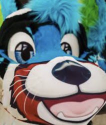 furry ;-; Meme Template