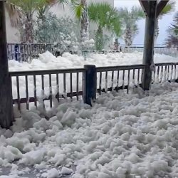 Florida Snow Meme Template
