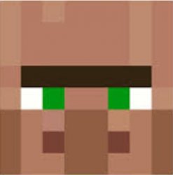 villager face Meme Template