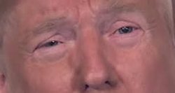 Trump dilated and in tears 'cause he's sick and tired of winning Meme Template