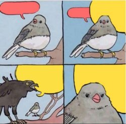 Loud bird Meme Template