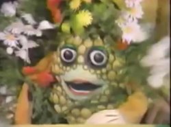 Ananas flowers Meme Template