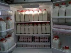 milk fridge Meme Template