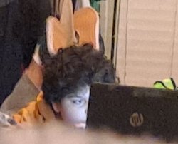 carlos or something staring at a computer Meme Template