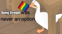 Being straight was never an option Meme Template