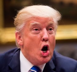 Trump - Big Mouth, Tiny Penis  JPP Meme Template