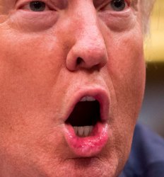 Trump's big mouth compensates for tiny penis JPP Meme Template