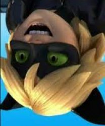 Chat Noir Meme Template