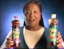 Diane Pine Sol Lady Meme Template