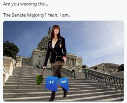 Are you wearing the Senate majority Meme Template