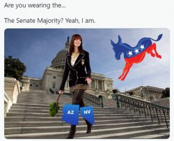 Democrats wearing the Senate majority Meme Template