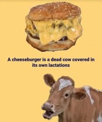 A cheeseburger is a dead cow Meme Template