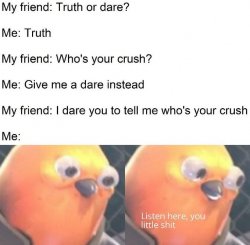 Truth or Dare, listen here you little s bird Meme Template