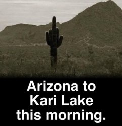 Arizona to Kari Lake Meme Template