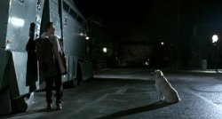 Phantoms horror movie with Ben Affleck and a Dog Meme Template