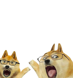 Doge look meme. Meme Template